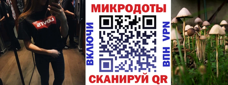 Галлюциногенные грибы Psilocybe  Лесной 